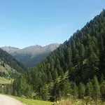 Almhuette Senfter * Innervillgraten