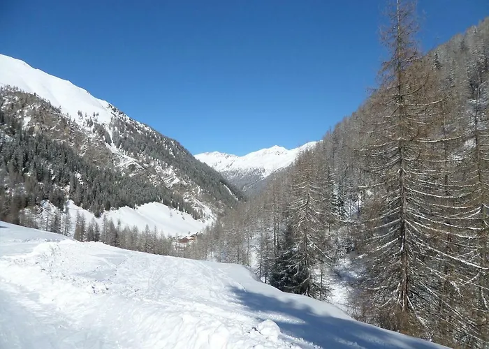 Almhütte Senfter Chalet *