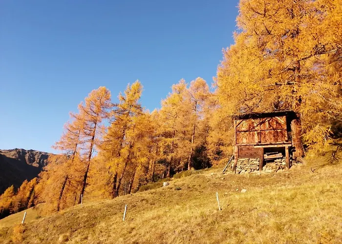 Chalet Almhütte Senfter