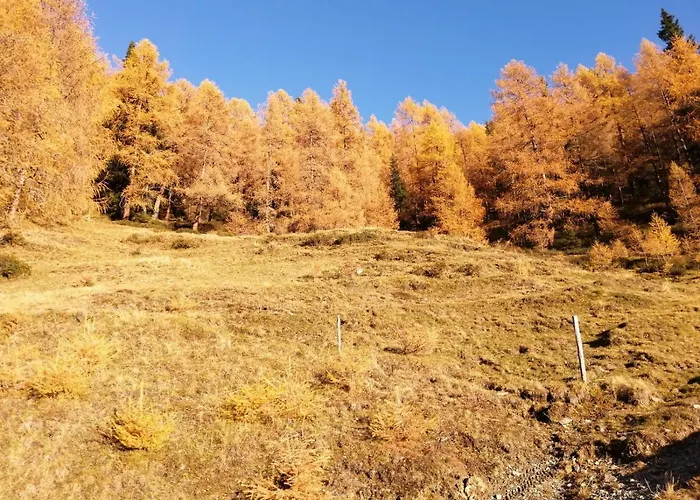 Chalé Almhuette Senfter